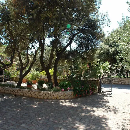 Ip Διαμέρισμα *